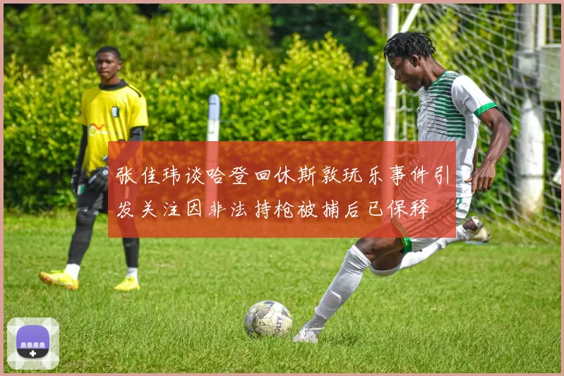 张佳玮谈哈登回休斯敦玩乐事件引发关注因非法持枪被捕后已保释